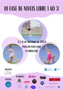 Cartel III Fase Niveles 1-3 Pontevedra